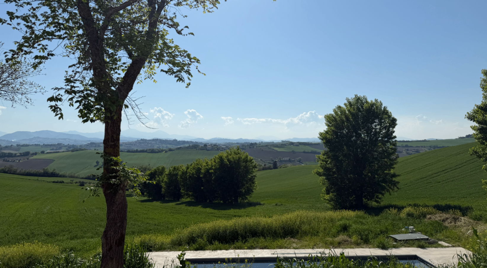 Panoramic pool edge with sweeping views across the hills of Le Marche